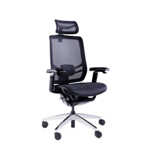 Купить GT Chair InFlex X-3.jpg